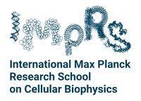 International Max Planck Research School