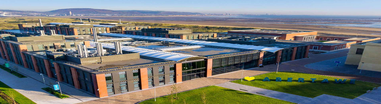 Swansea University