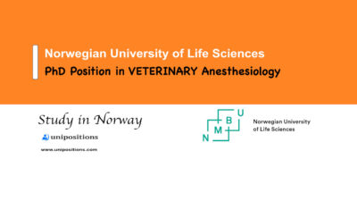 PhD Position in VETERINARY Anesthesiology