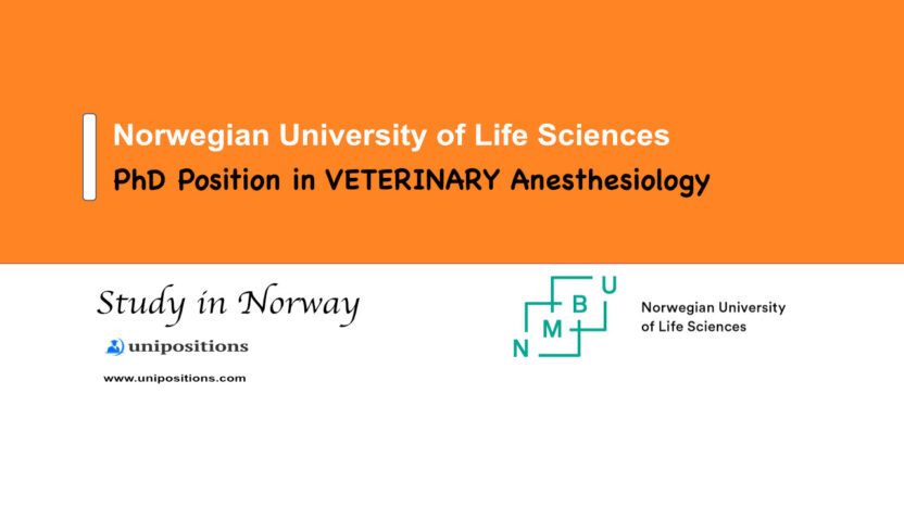 PhD Position in VETERINARY Anesthesiology